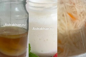 Чайный гриб, квашеная капуста и кефир: секреты здоровья зимой Чайный гриб, квашеная капуста и кефир: секреты здоровья зимой