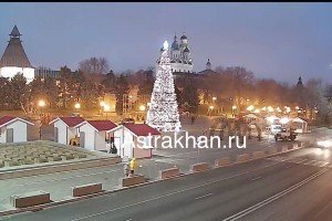 Главная елка Астрахани неожиданно засветилась раньше срока