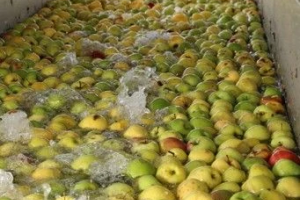 В Астраханской области начали выпускать яблочное пюре В Астраханской области начали выпускать яблочное пюре