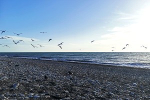 Сегодня утром над Каспием сбили два беспилотника Сегодня утром над Каспием сбили два беспилотника