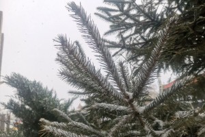 Сильный снег, ураганный ветер и ливень: какая погода ждет астраханцев 13 декабря? Сильный снег, ураганный ветер и ливень: какая погода ждет астраханцев 13 декабря?