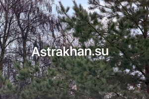 Астраханцы массово остаются без света из-за ураганного ветра, ливня и града Астраханцы массово остаются без света из-за ураганного ветра, ливня и града