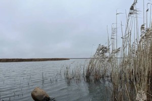 В Астраханской области спасли потерявшегося охотника В Астраханской области спасли потерявшегося охотника