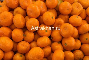 Сколько стоят мандарины в Астрахани и куда исчез тот самый вкус из детства Сколько стоят мандарины в Астрахани и куда исчез тот самый вкус из детства