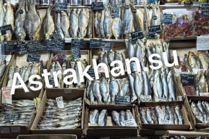 Торговля риском: в Астрахани без стеснения продают запрещенную воблу, краснокнижных рыбца и кутум