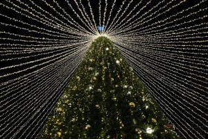 Елку в астраханском Кремле зажгут уже на этой неделе