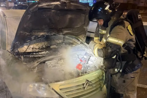 В Астрахани за прошедший год сгорело 87 автомобилей В Астрахани за прошедший год сгорело 87 автомобилей