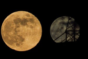 Астраханке удалось поймать Волчью Луну Астраханке удалось поймать Волчью Луну