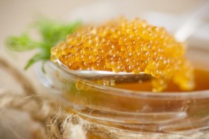 В Астраханской области водитель автобуса попался с контрафактным деликатесом В Астраханской области водитель автобуса попался с контрафактным деликатесом