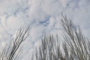 28 января в Астрахань придет потепление