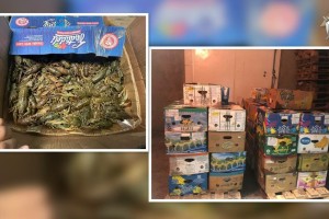 У астраханца в гараже нашли почти две тонны живых раков У астраханца в гараже нашли почти две тонны живых раков