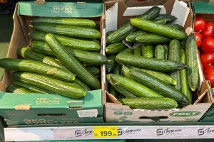 Ценовой скачок на огурцы дошел до ФАС