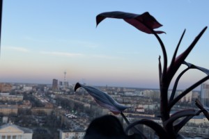 21 февраля в Астраханской области будет тепло и влажно