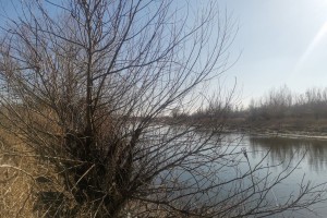 24 февраля астраханцев ожидает солнечный день 24 февраля астраханцев ожидает солнечный день