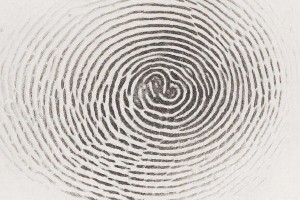 Вход по биометрии защитит клиентов банков от атак мошенников Вход по биометрии защитит клиентов банков от атак мошенников