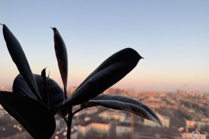 26 февраля в Астраханской области будет солнечно и ветрено 26 февраля в Астраханской области будет солнечно и ветрено