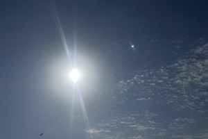 12 марта в Астраханской области будет солнечно 12 марта в Астраханской области будет солнечно