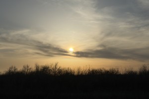 Сегодня в Астраханской области сохранится солнечная и по-весеннему теплая погода Сегодня в Астраханской области сохранится солнечная и по-весеннему теплая погода