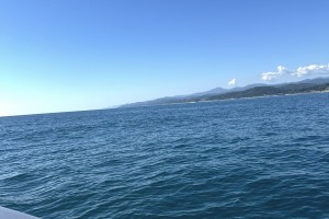 Астраханец пытается отсудить деньги за отдых в зоне разлива нефти на Черном море Астраханец пытается отсудить деньги за отдых в зоне разлива нефти на Черном море