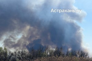 Горят дома, машины и камыш: реально ли получить компенсацию за полыхающий сорняк и порчу имущества в Астрахани? Горят дома, машины и камыш: реально ли получить компенсацию за полыхающий сорняк и порчу имущества в Астрахани?