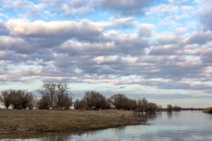 ВТБ и Фонд защитников природы реализовали природоохранные проекты в 26 регионах России