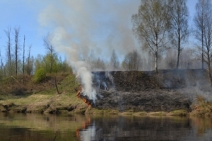 В России запретили выжигание сухой травы