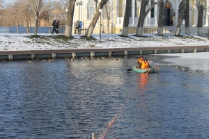Неравнодушные астраханцы пытаются спасти уток на Лебедином озере