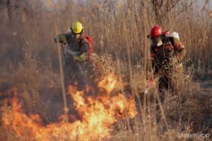 Члены экспедиции Гринпис приняли участие в тушении пожаров в Астраханской области