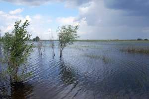 В Астраханской области паводок начнётся 20 апреля