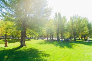 В Астрахани торжественно открыли межвузовский студенческий парк