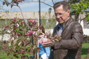 Большой субботник: в Астраханском кремле высадили 1500 цветов и яблони