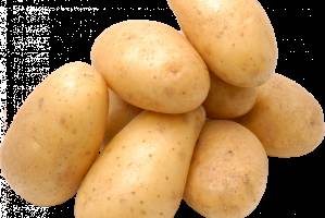 В Астраханской области собрали рекордное количество картошки