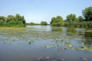 В Астраханской области уровень воды достигнет опасно высоких отметок