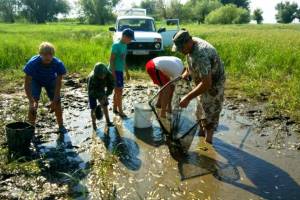 В Астраханской области за неделю спасли более 200 тысяч мальков рыбы