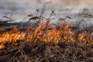 В Астраханской области прогнозируют чрезвычайную пожароопасность