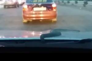 В Астрахани змея прокатилась на капоте автомобиля (видео)