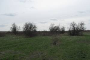 В Камызякском районе фермер заплатит штраф за то, что использовал земли не по назначению