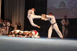 Астраханская школа боевых искусств 