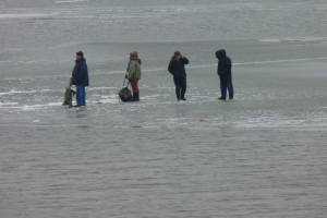 Выходить на лед в Астрахани опасно для жизни