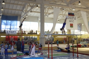 Золото «Олимпийских надежд» досталось астраханскому гимнасту Дмитрию Ларюшкину