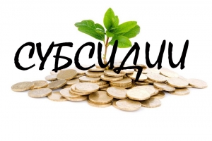 Правительство РФ внесло изменения в порядок получения субсидий на поддержку малого и среднего бизнеса