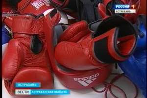 Юные  астраханки стали победителями Кубка России по кикбоксингу