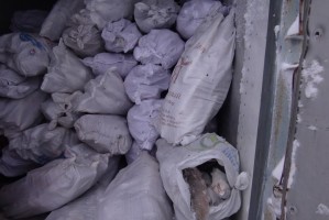 Астраханские пограничники обнаружили холодильники с 13 тоннами рыбы без  документов