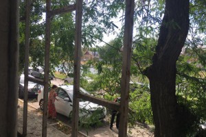 В центре Астрахани на машину упало дерево