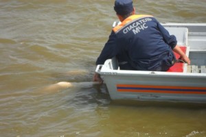 В Астраханской области в воде нашли три трупа