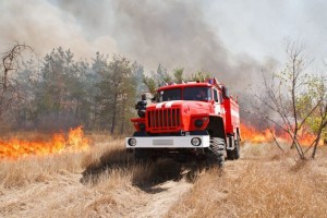 Астрахань попала в список регионов с высокой пожароопасностью
