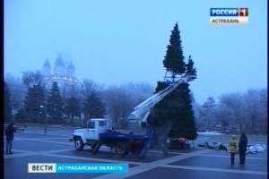 На площади Ленина в Астрахани установили новогоднюю ёлку