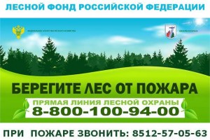 В Астраханской области выявили 419 нарушений лесного законодательства
