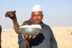 В Астраханской области пресекли факт ввоза из Казахстана 120 литров верблюжьего молока