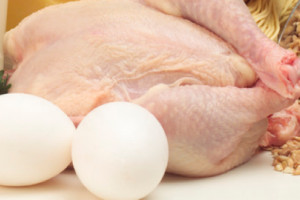 ОАЭ запретили импорт мяса птицы из российских регионов